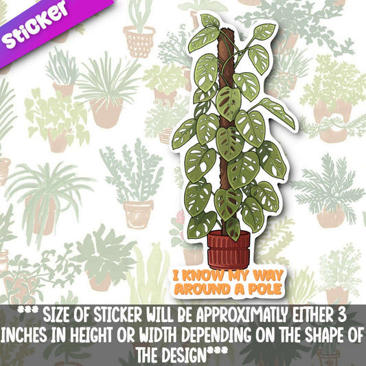 I Know My Way Around A Pole