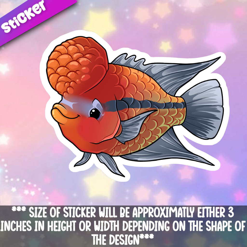 Flowerhorn Fish