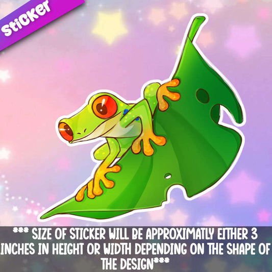 Frog on Leaf (Tree Frog)