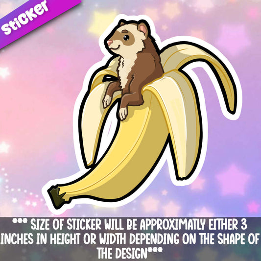 Ferret- Banana