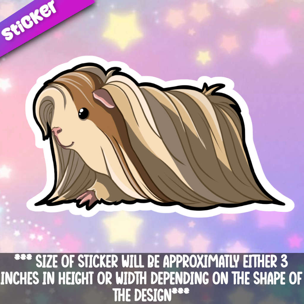 Guinea Pig- Long Hair