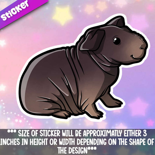 Skinny Pig 1