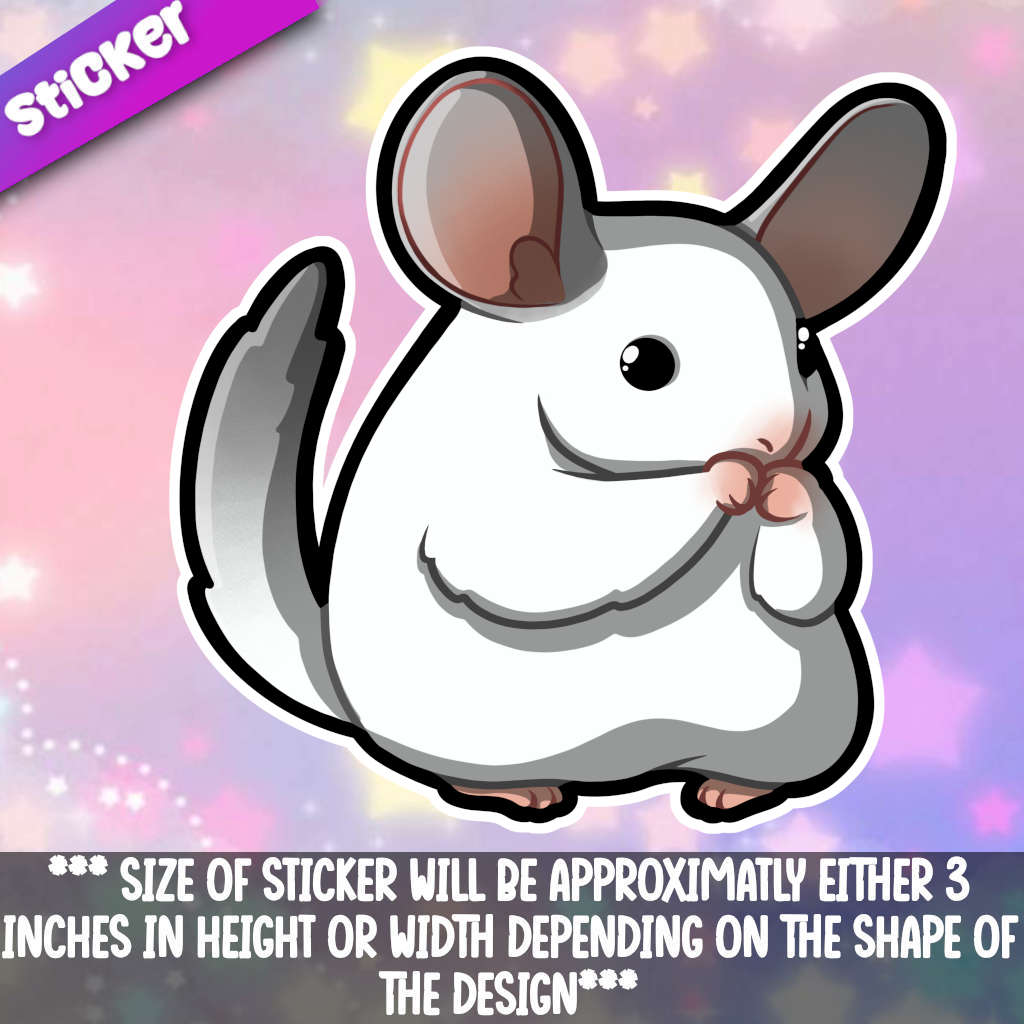 Chinchilla- White