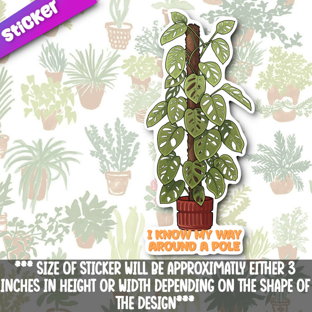 I Know My Way Around A Pole