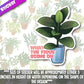What The Ficus Going On